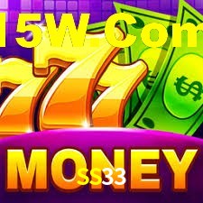 Premium Interface SS33