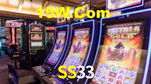 SS33